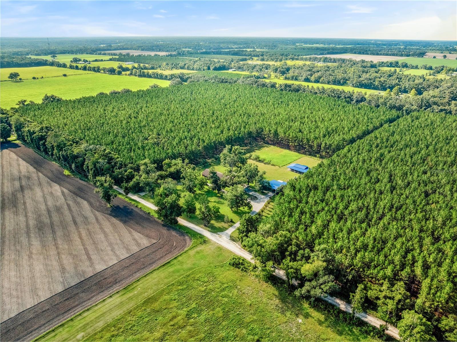 JENKINS FARMS - Residential