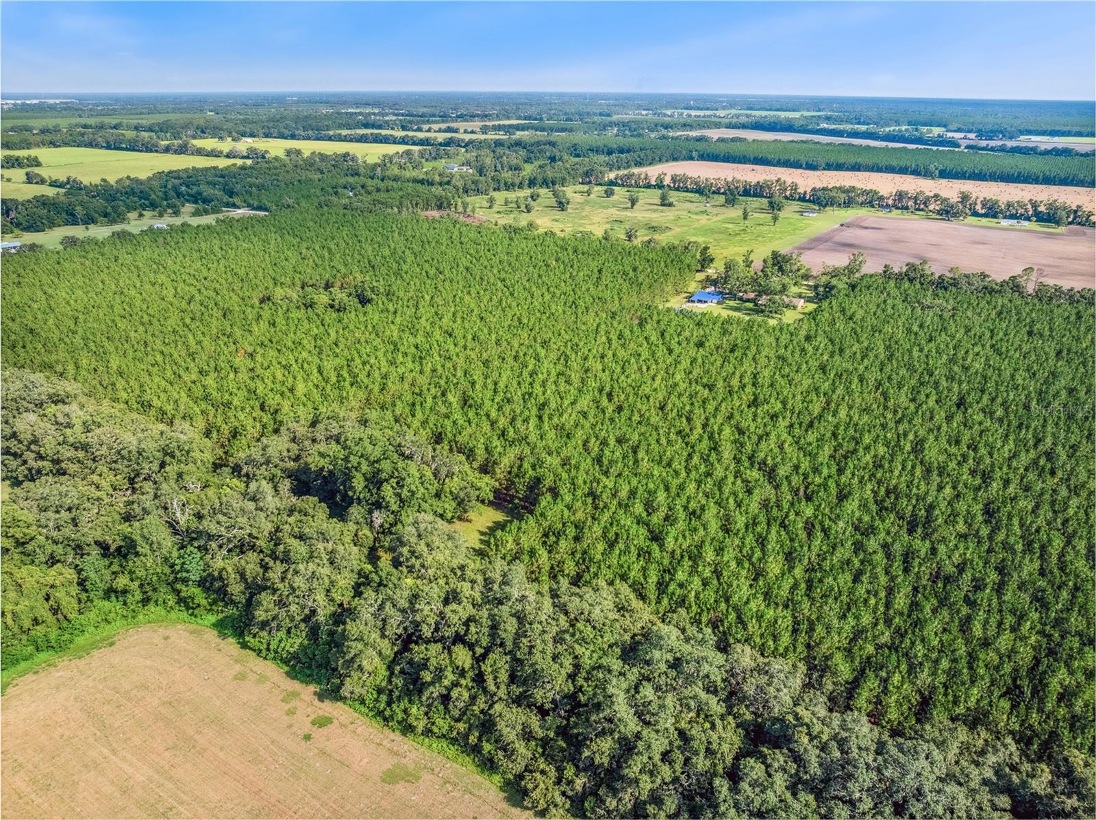 JENKINS FARMS - Residential