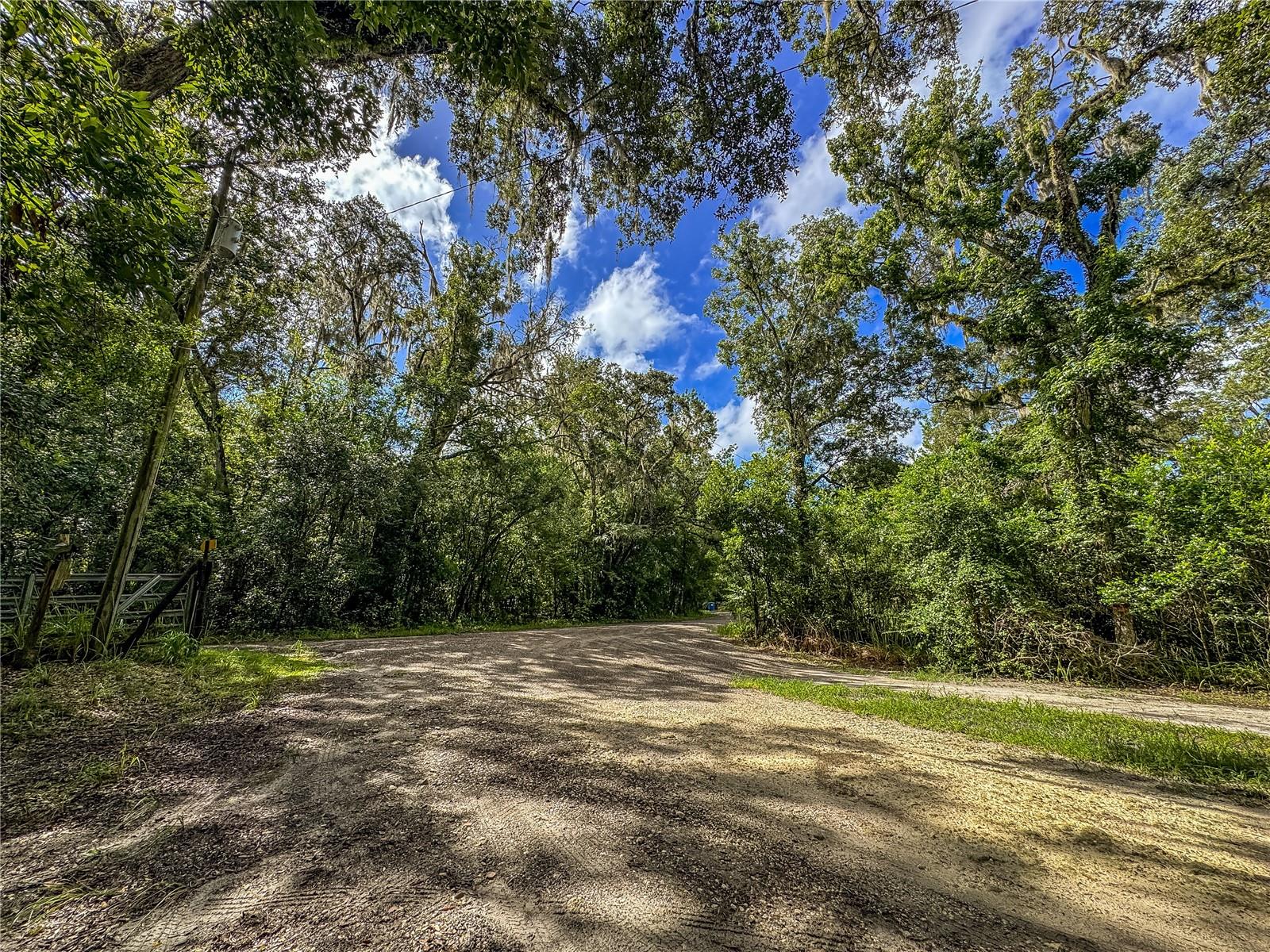 OLD HUNTER ROAD