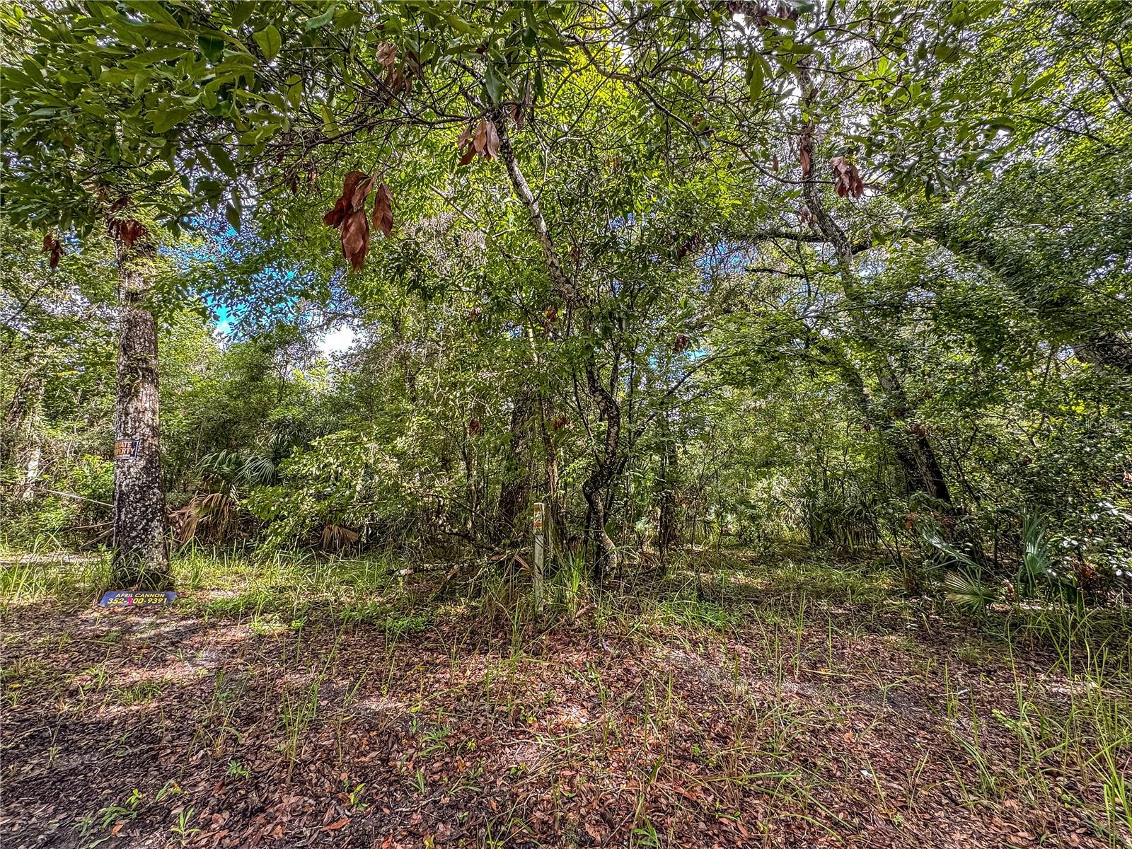OLD HUNTER ROAD