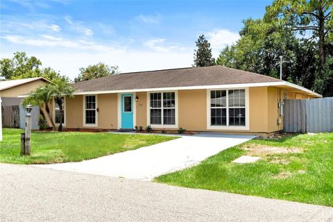 Photo of 211 Valencia Road, Debary, FL 32713 (MLS # O6353625)