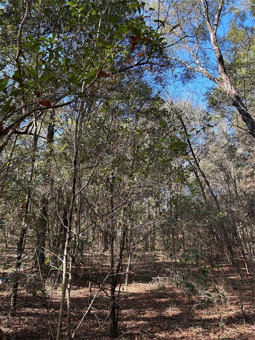 Vacant land in the heart of Dunnellon, Florida, this stunning high and dry vacant lot offers the perfect canvas for your dream home. Located just minutes from the serene Rainbow Springs, this property promises the tranquility of country living with the convenience of being close to natural beauty and local amenities. Imagine waking up to the sound of birds chirping and the gentle rustle of leaves, with endless possibilities to design and build a residence that reflects your lifestyle. Embrace the opportunity to create a peaceful retreat in one of Florida's most charming communities.