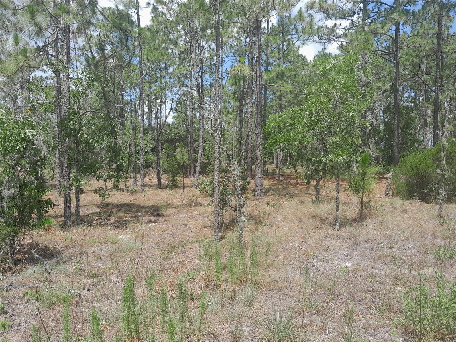 WILLISTON HIGHLANDS GOLF & C CLUB ESTATES - Land