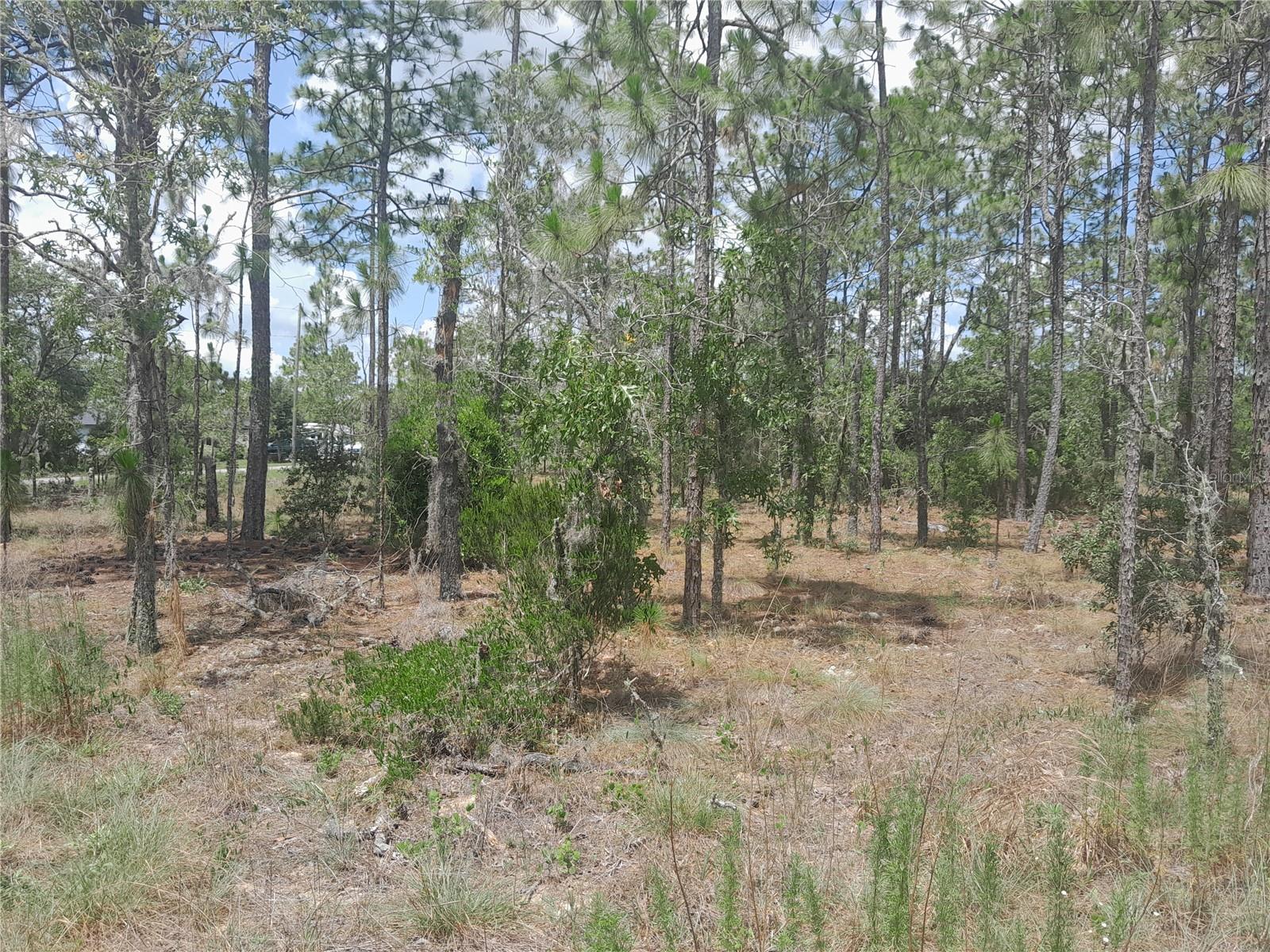 WILLISTON HIGHLANDS GOLF & C CLUB ESTATES - Land