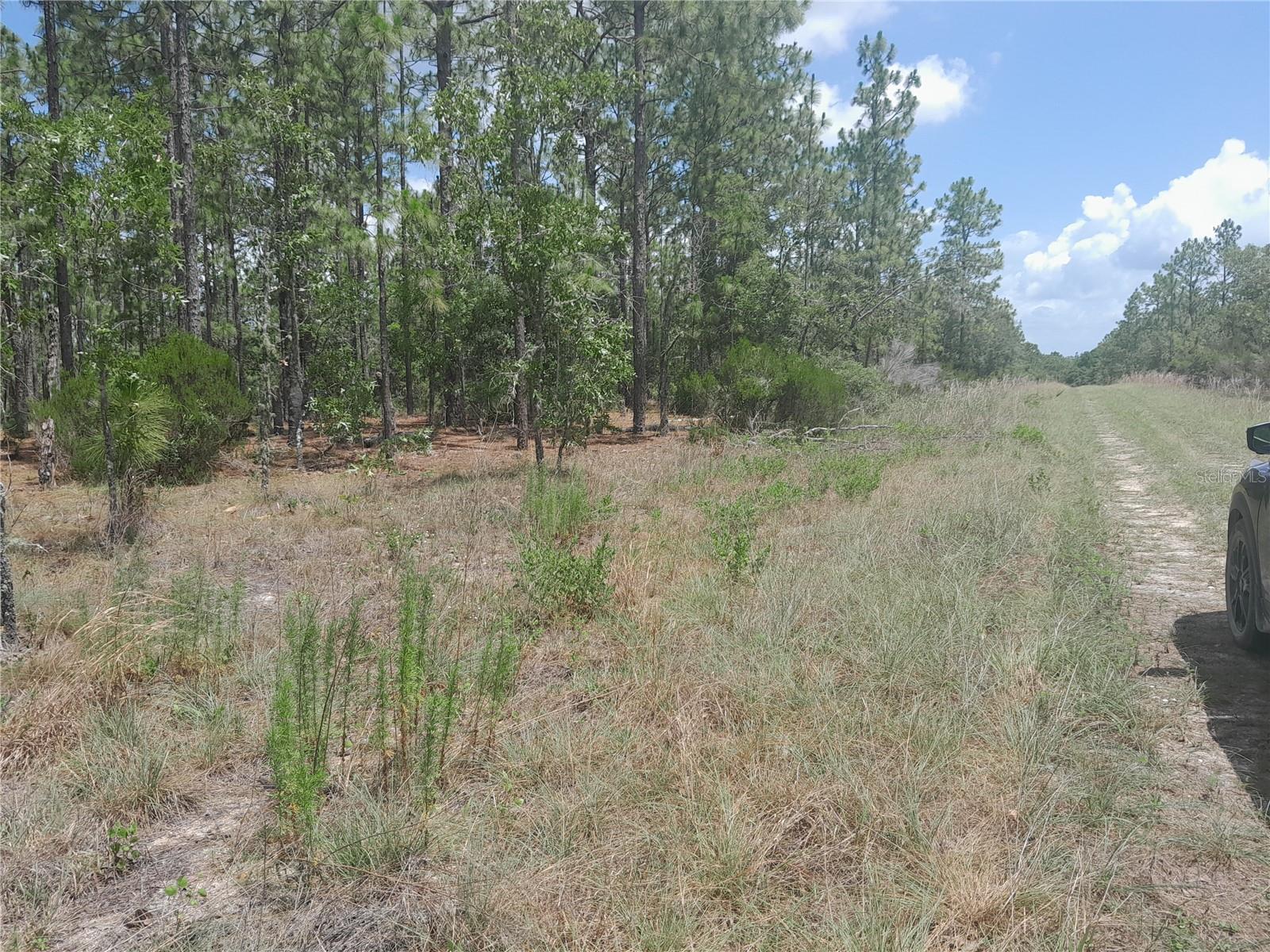 WILLISTON HIGHLANDS GOLF & C CLUB ESTATES - Land
