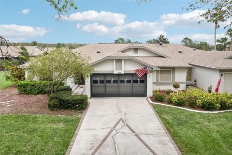 A home in SUN CITY CENTER