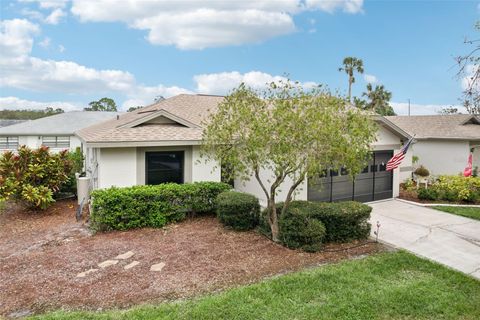 A home in SUN CITY CENTER