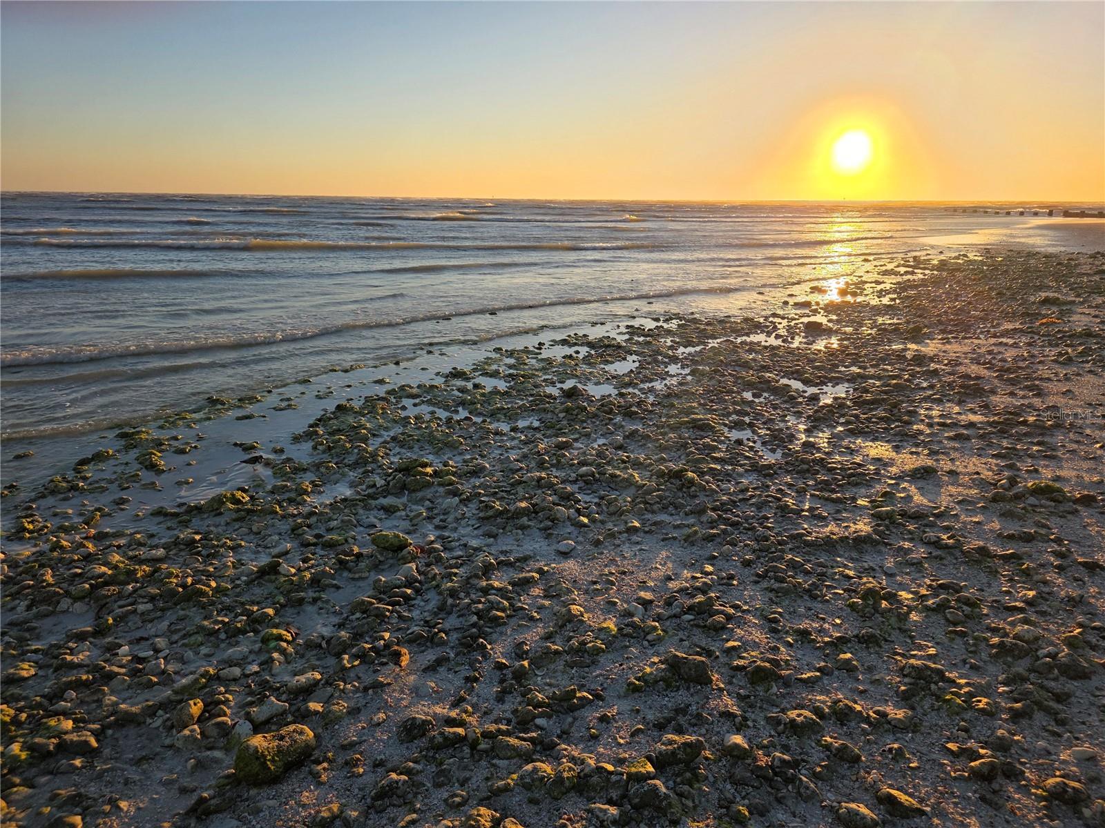 CONCORD ARMS CONDO - Residential