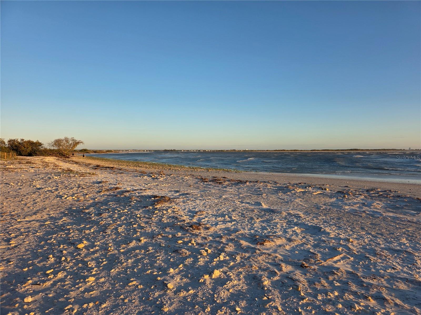 CONCORD ARMS CONDO - Residential