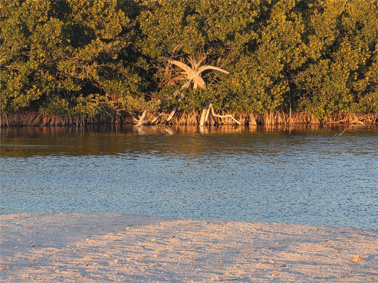 CONCORD ARMS CONDO - Residential