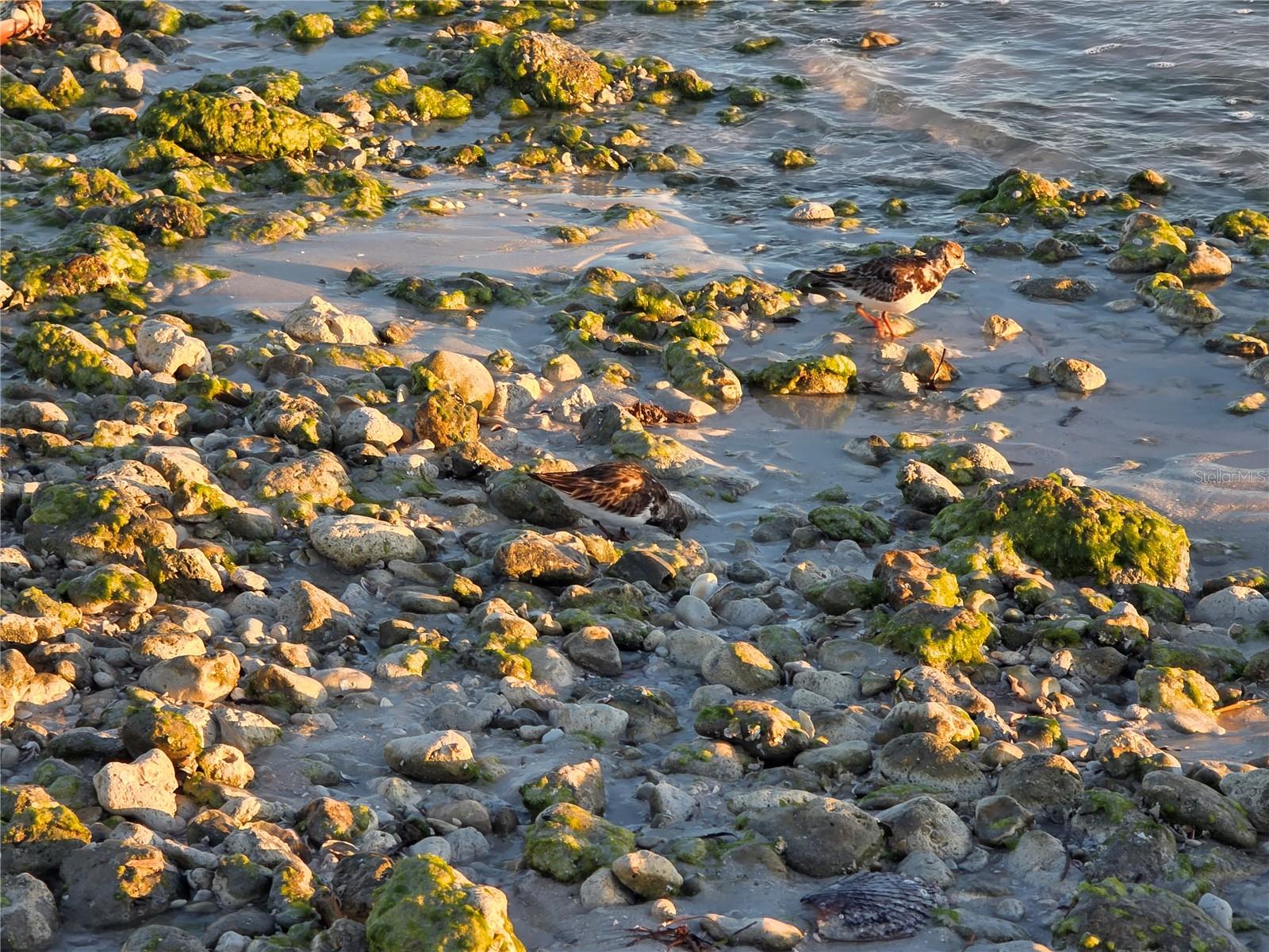 CONCORD ARMS CONDO - Residential