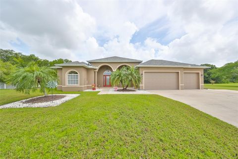 Photo of 17706 Bridlewood Court, Parrish, FL 34219 (MLS # A4673366)