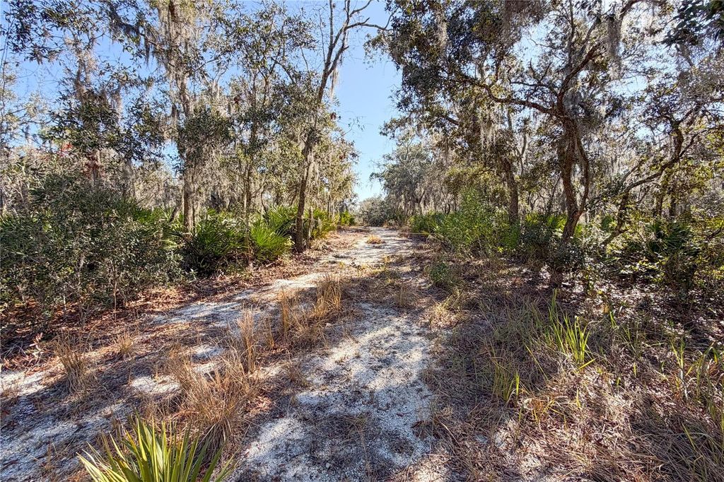 Photo of 3201 Scrub Oak Lane, Lake Wales, FL 33898 (MLS # O6381396)