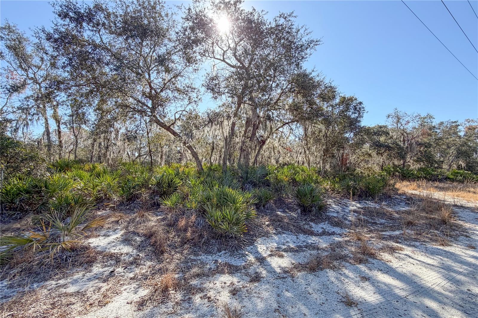 LAKE & HILLS COUNTRY ESTATES - Land