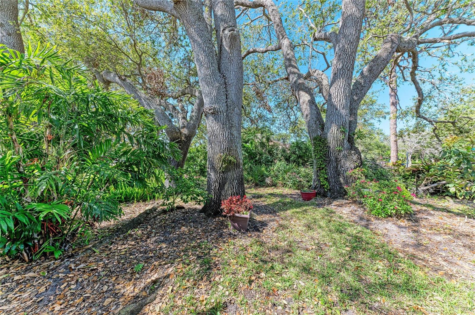 PINE BAY FOREST - Residential