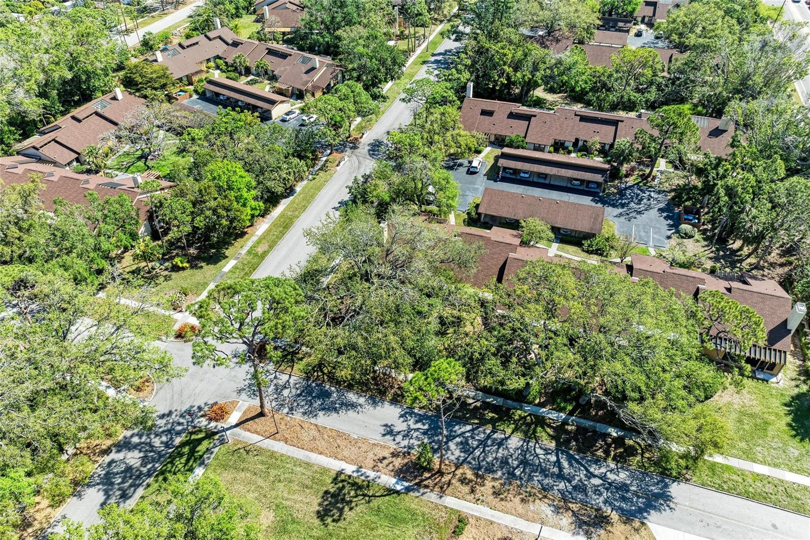 PINE BAY FOREST - Residential