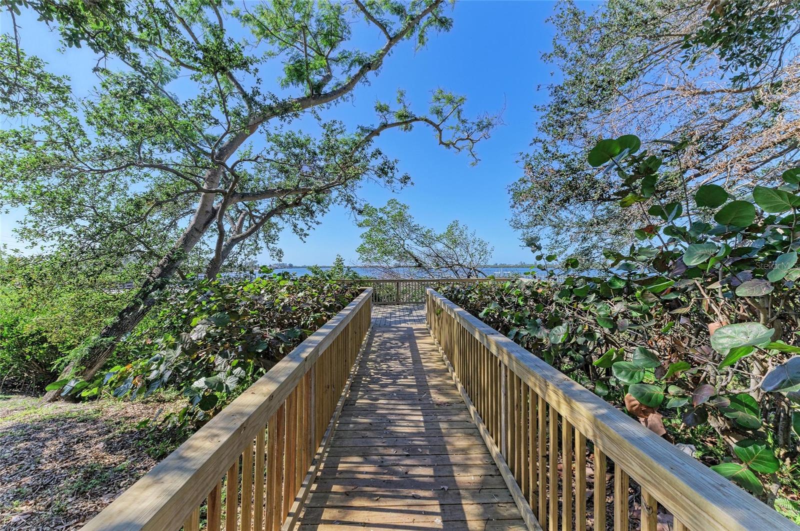 PINE BAY FOREST - Residential