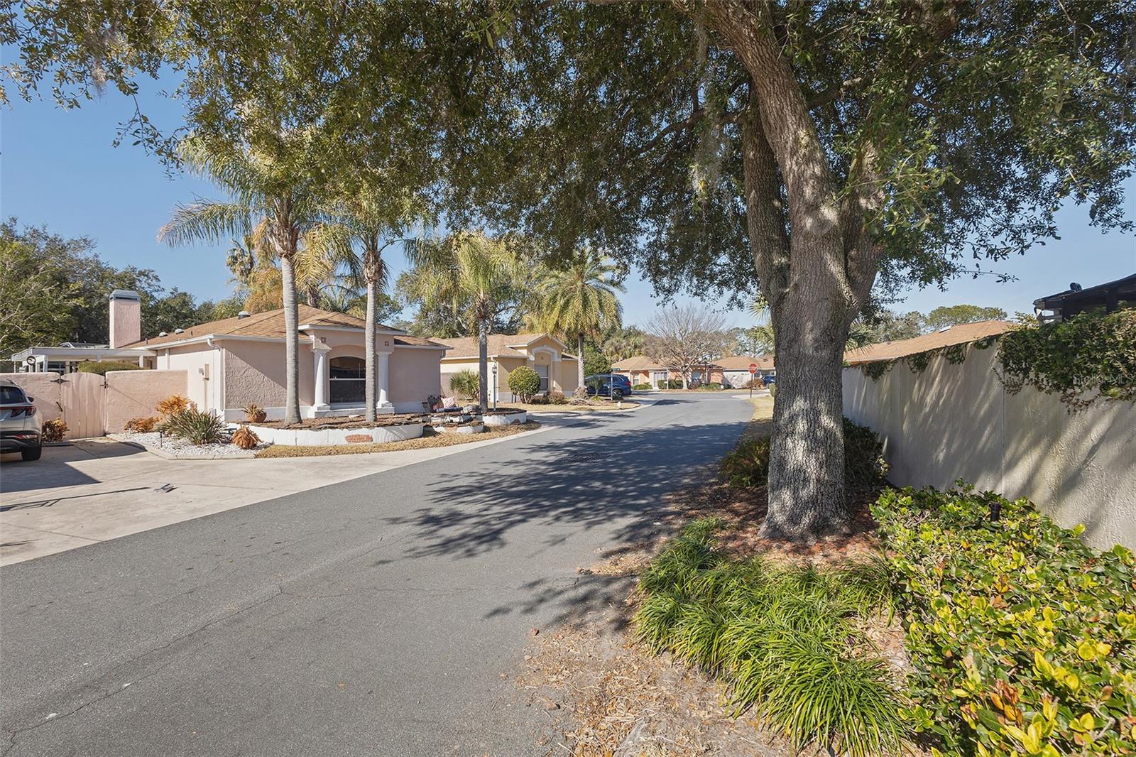 THE VILLAGES - Residential