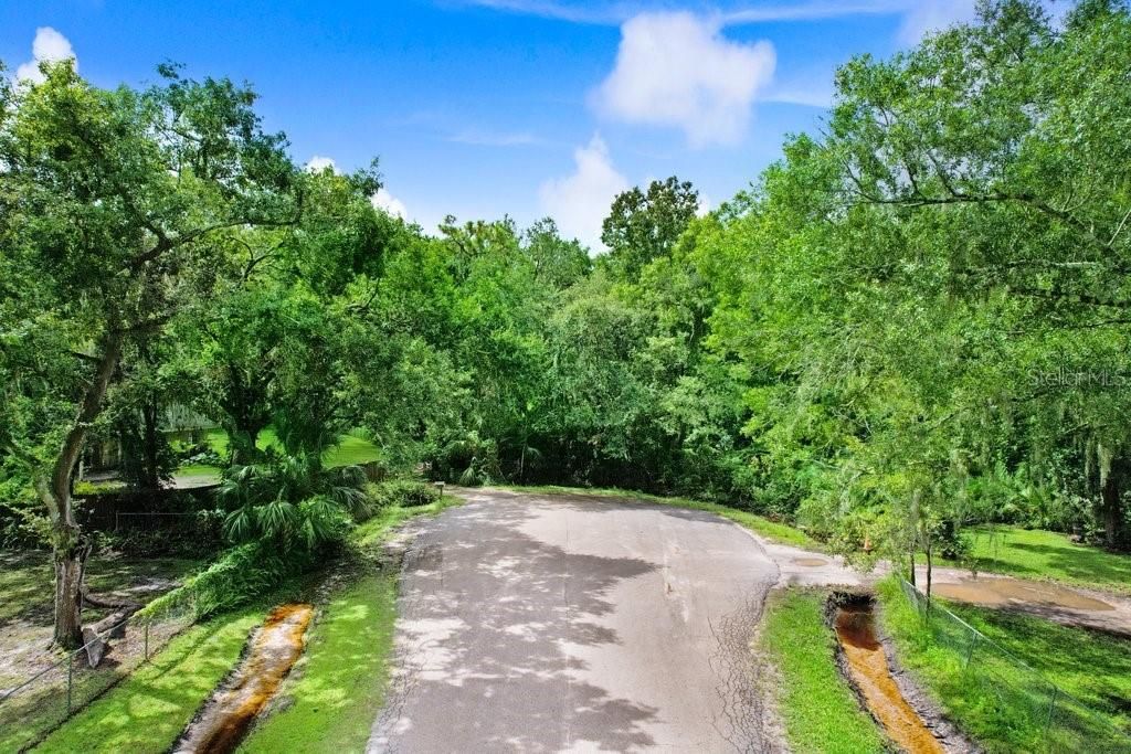 Photo of 5911 Timberwood Drive, Lakeland, FL 33811 (MLS # TB8424779)