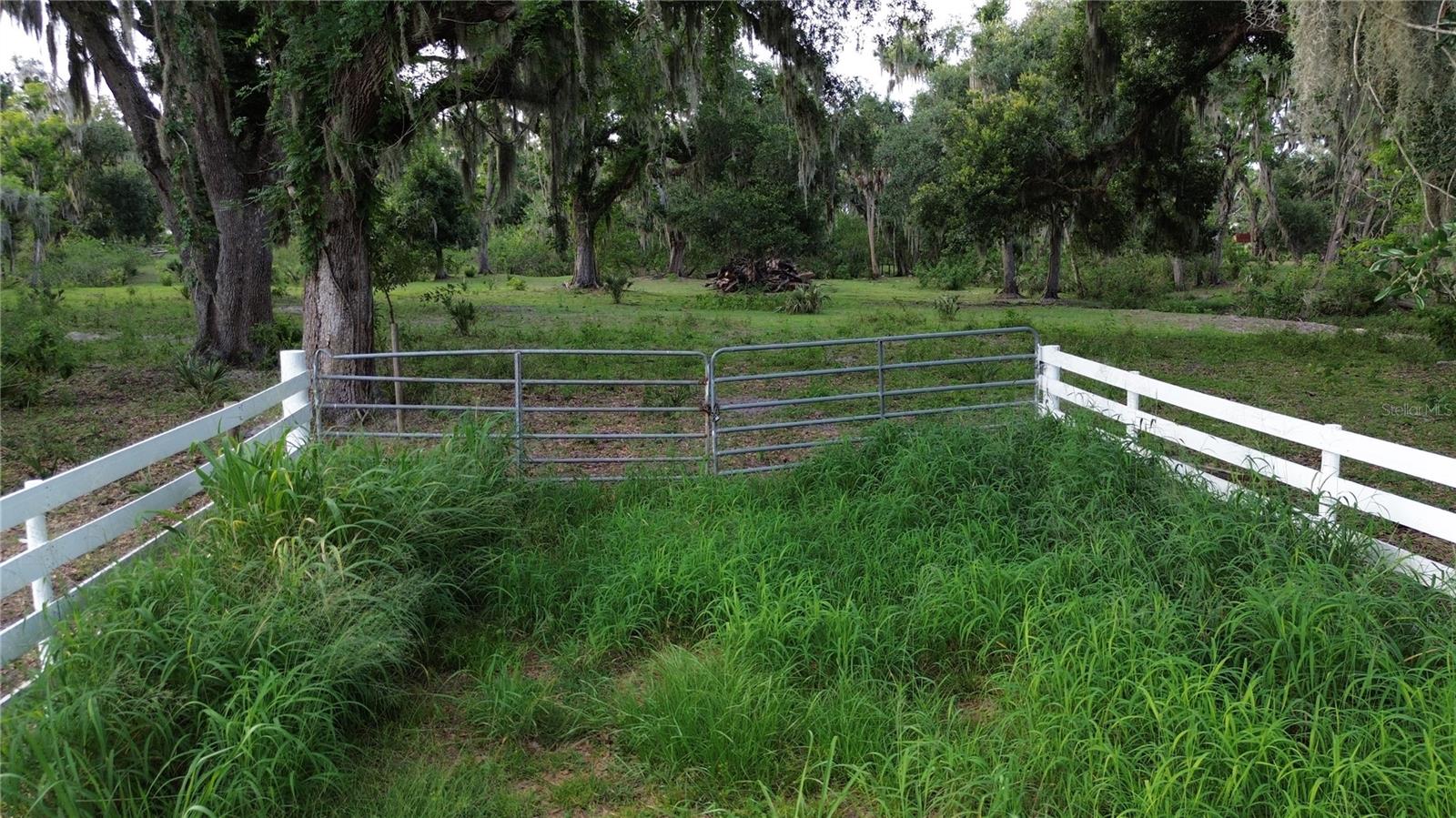 10900 OLD TAMPA ROAD