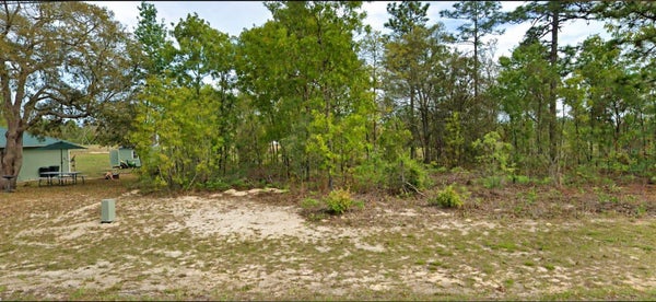 2507 W WILMINGTON LOOP, DUNNELLON, FL 34434 - Image 4af109094bebf6fbebc97db582bd56e6/1287473662