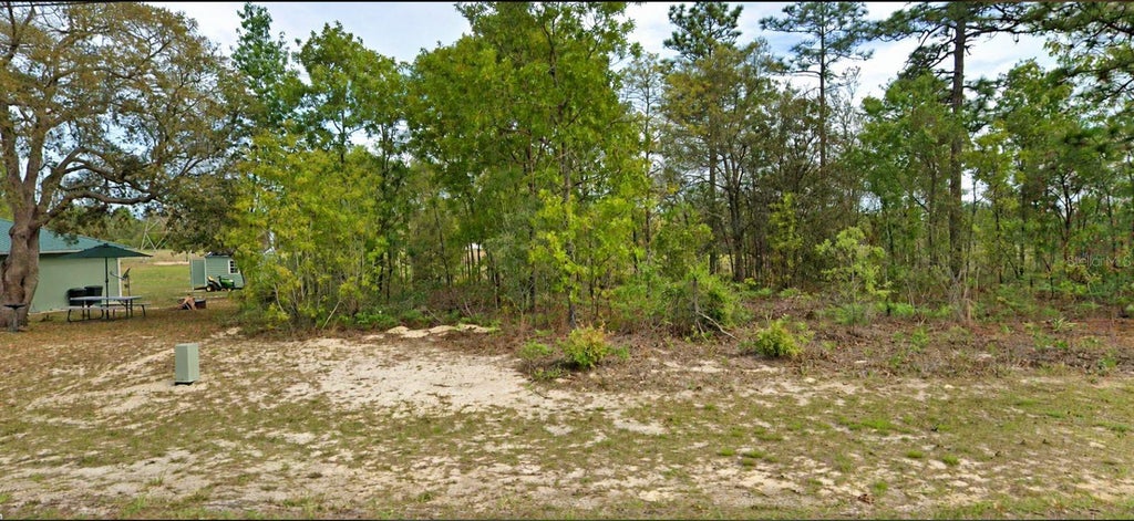 Photo of 2507 W Wilmington Loop, Citrus Springs, FL 34434 (MLS # O6450043)