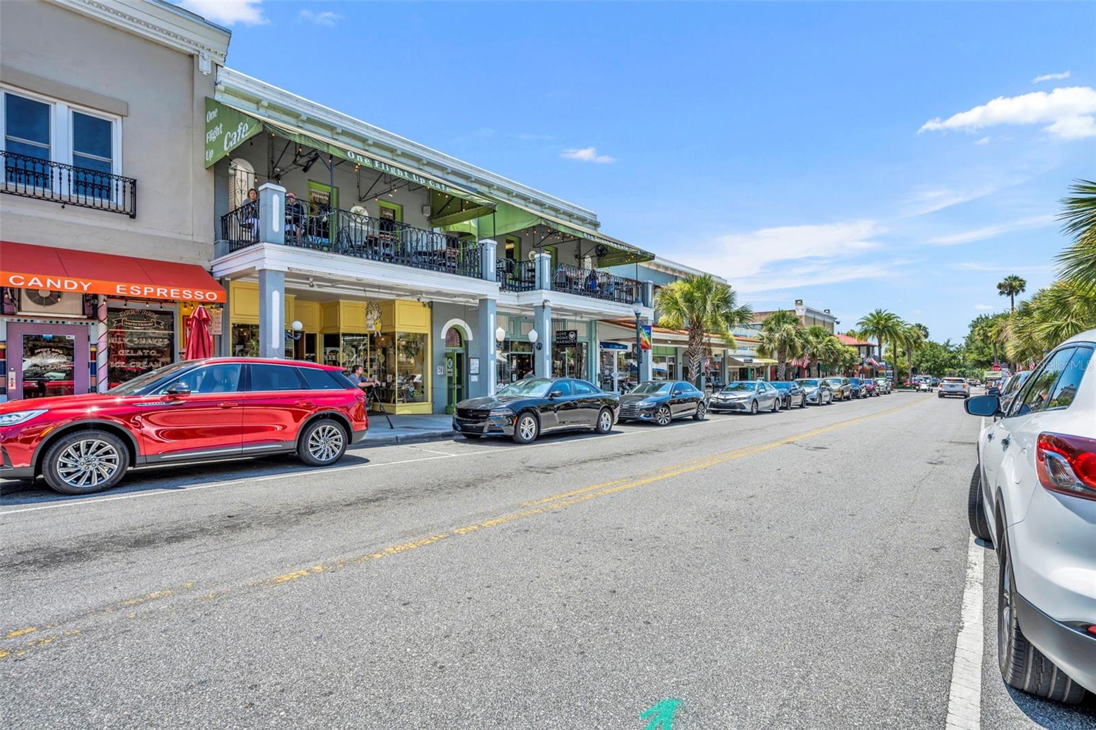 MOUNT DORA ALTA VISTA - Residential