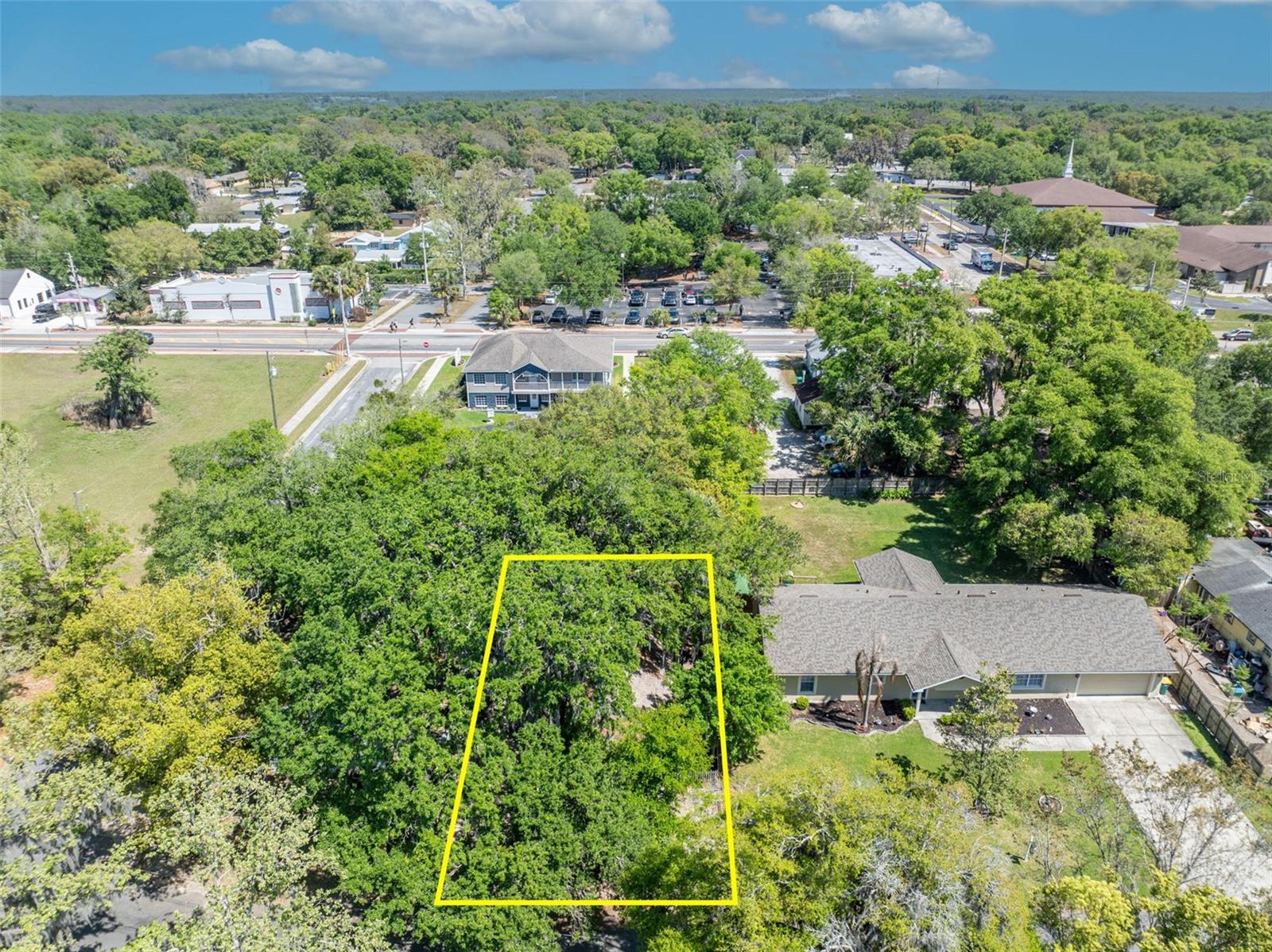 MOUNT DORA ALTA VISTA - Residential