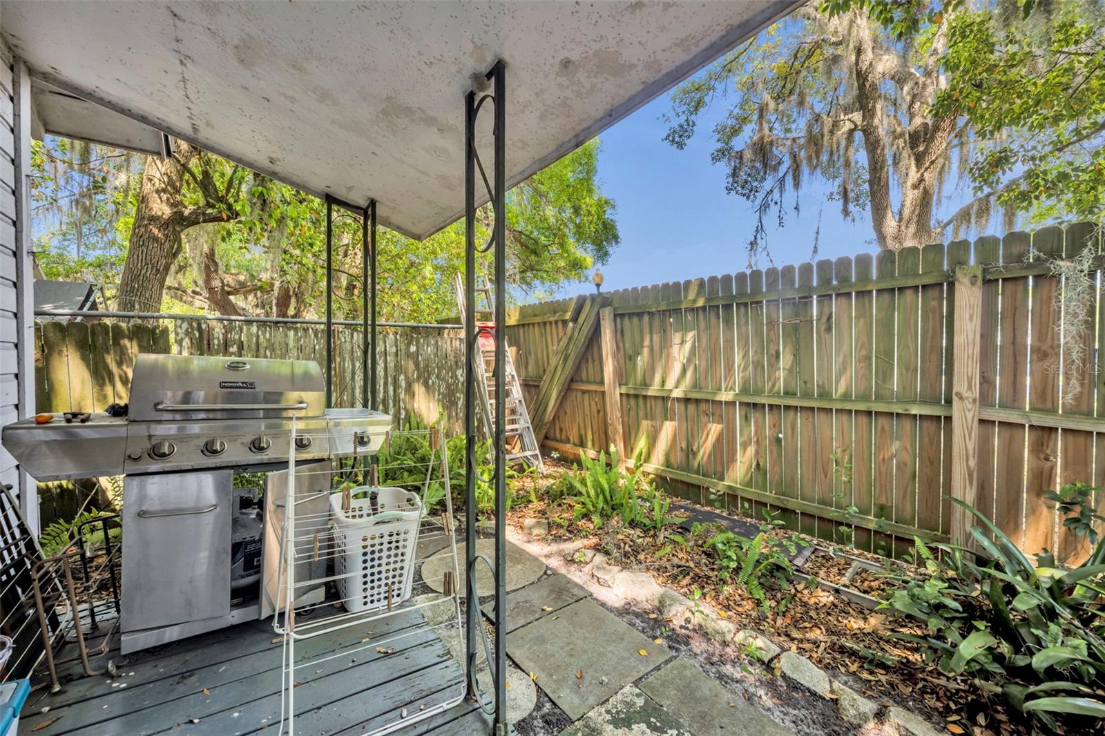 MOUNT DORA ALTA VISTA - Residential