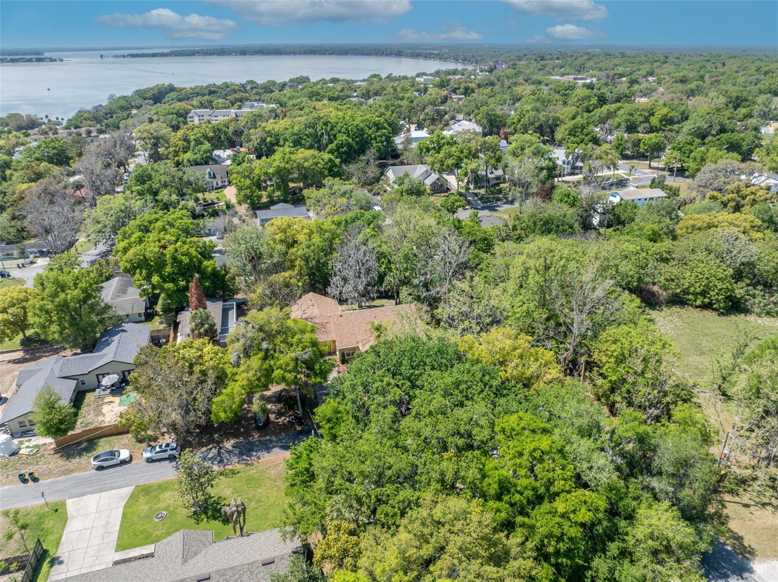 MOUNT DORA ALTA VISTA - Residential