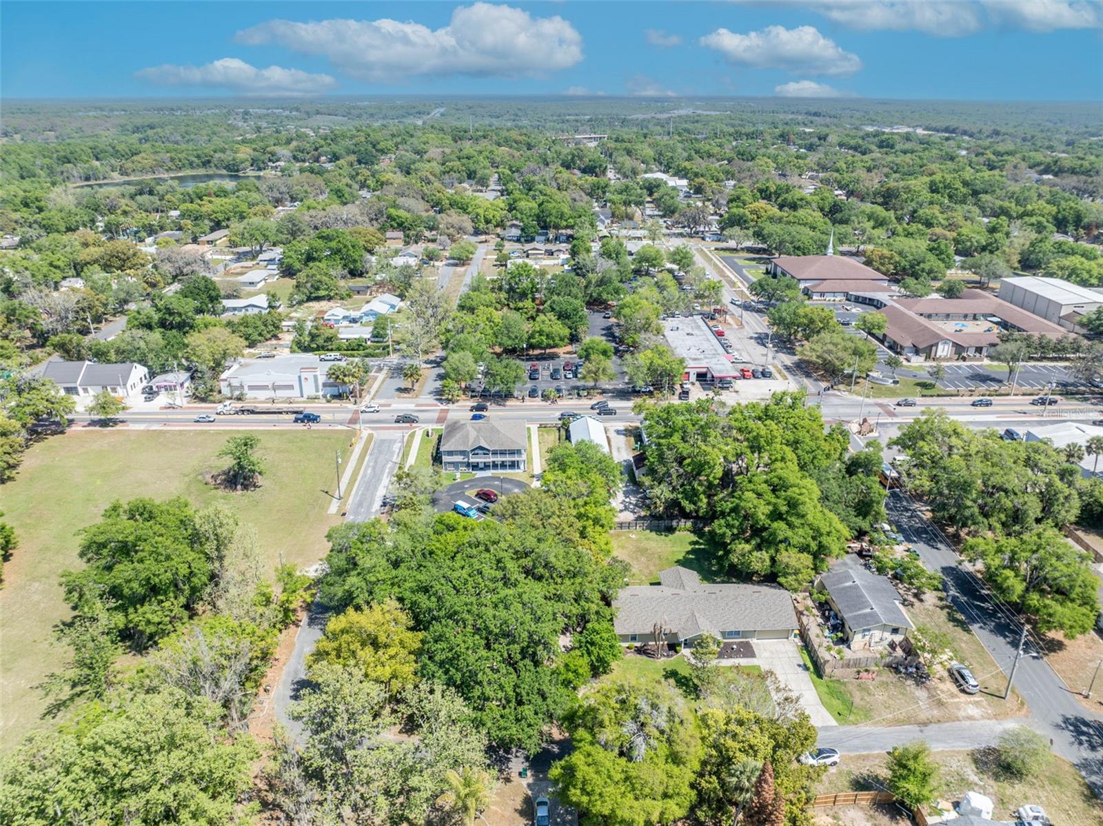 MOUNT DORA ALTA VISTA - Residential