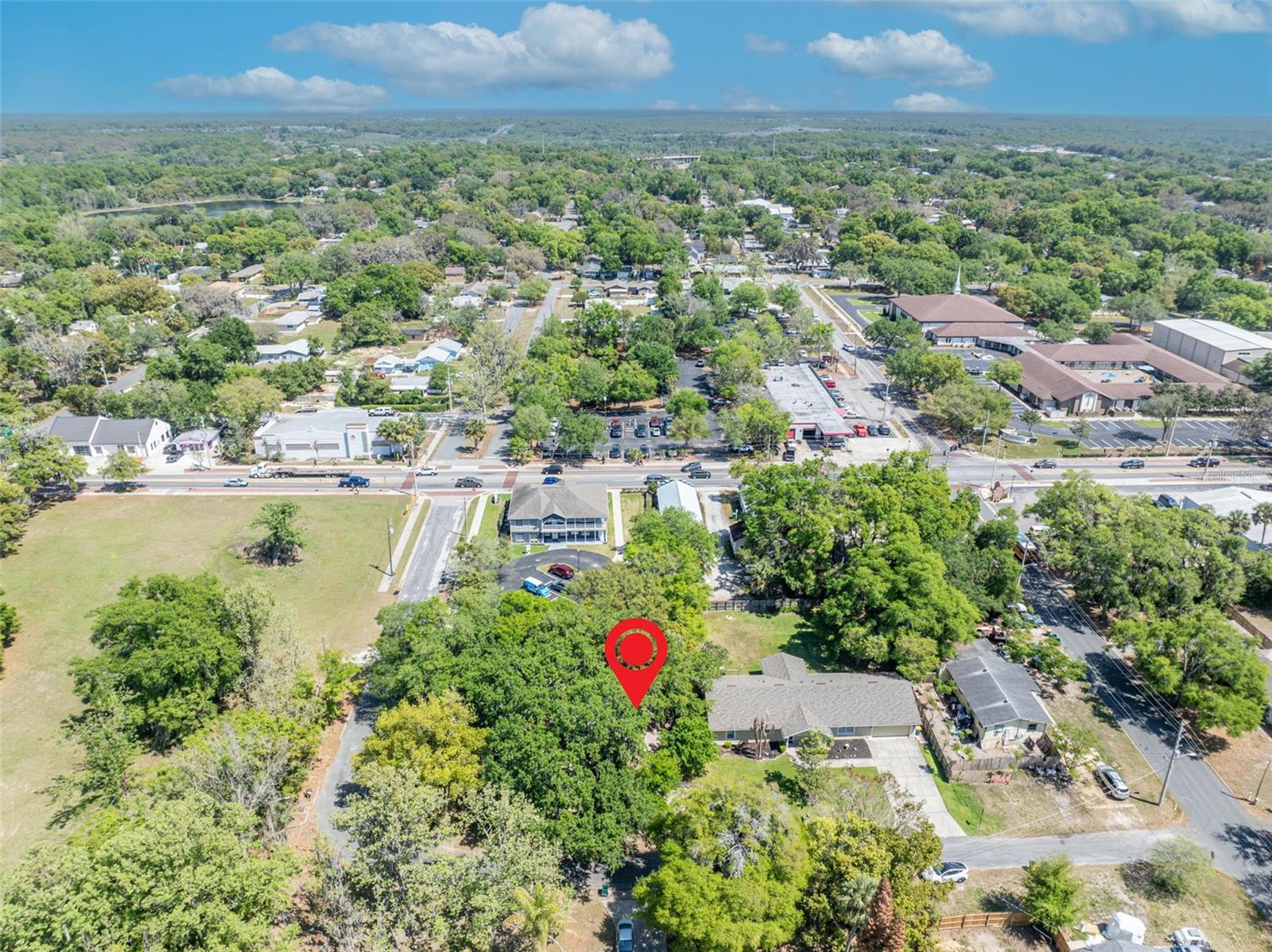 MOUNT DORA ALTA VISTA - Residential