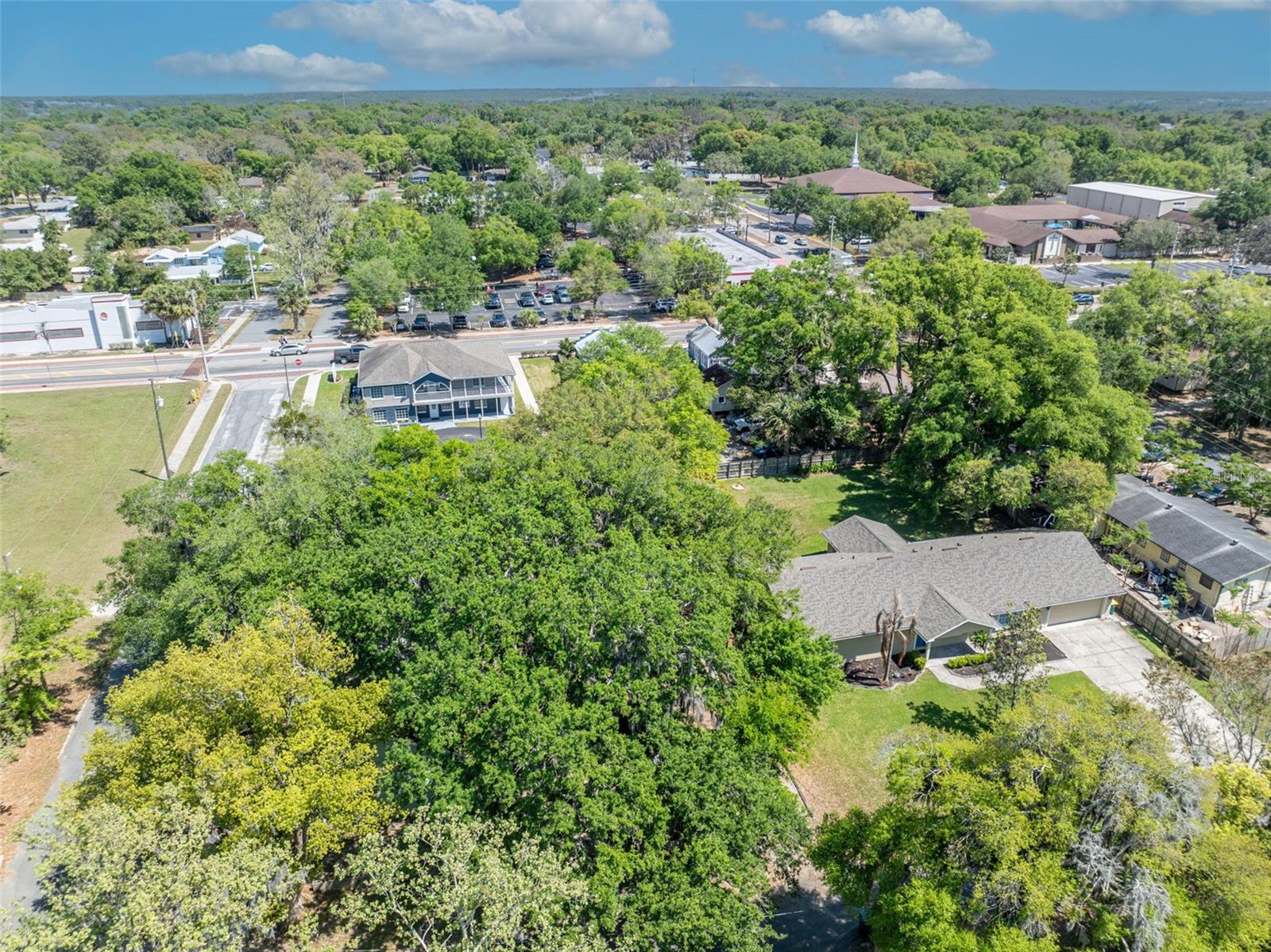 MOUNT DORA ALTA VISTA - Residential