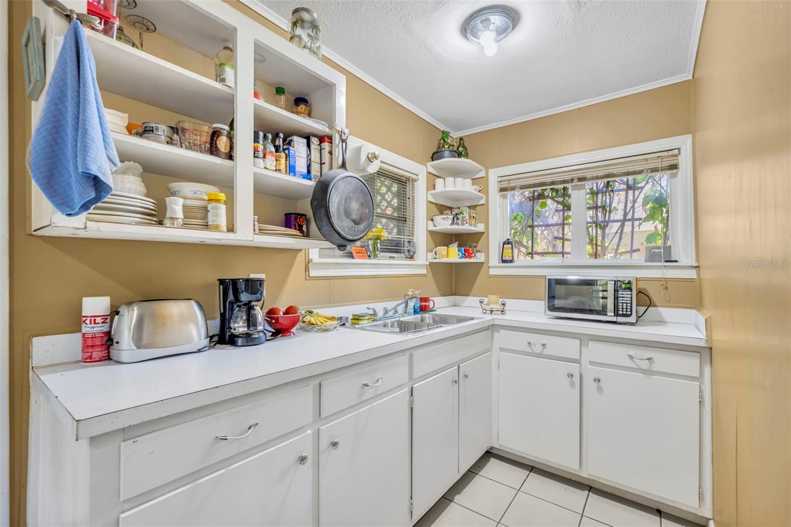 MOUNT DORA ALTA VISTA - Residential