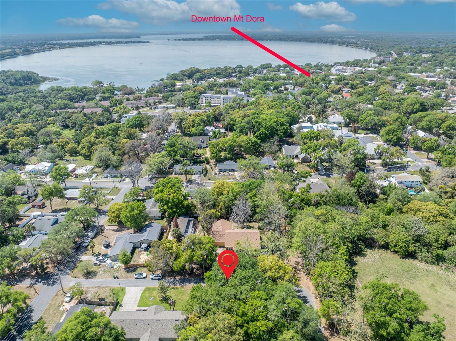 MOUNT DORA ALTA VISTA - Residential