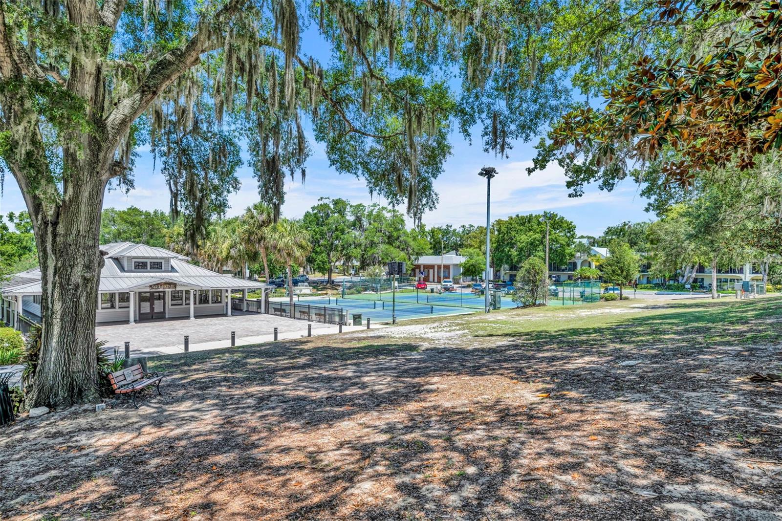 MOUNT DORA ALTA VISTA - Residential