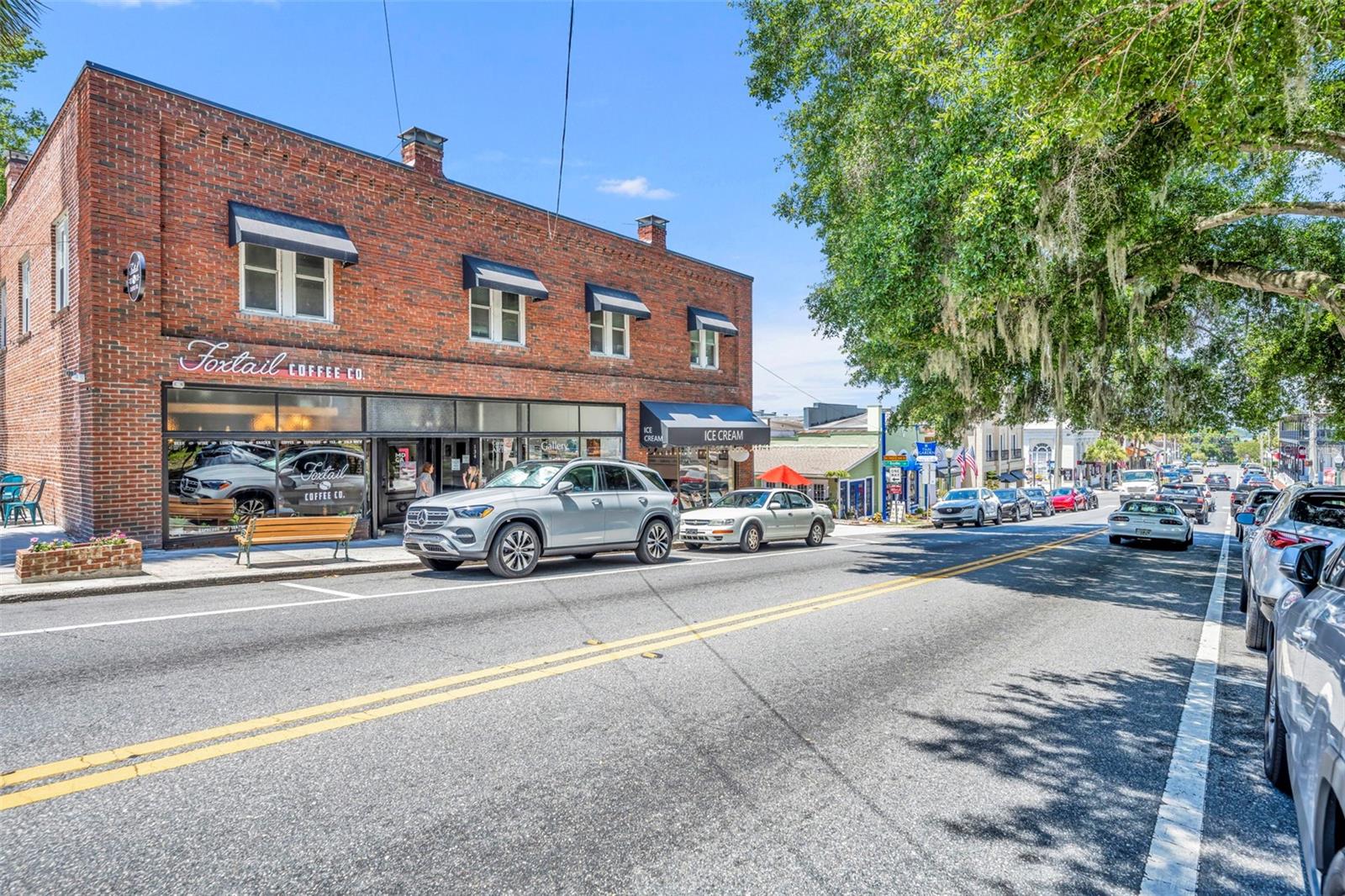 MOUNT DORA ALTA VISTA - Residential