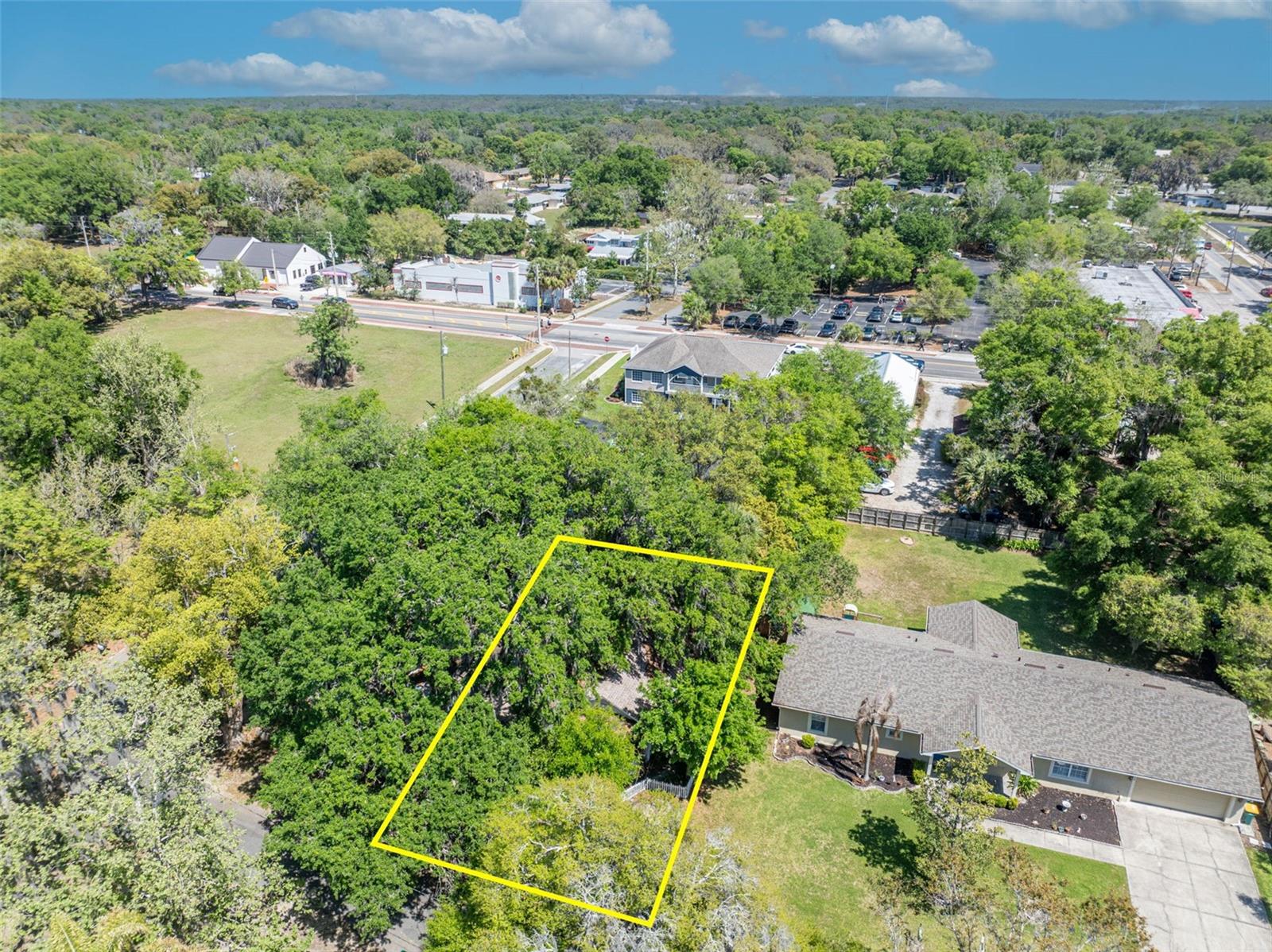 MOUNT DORA ALTA VISTA - Residential