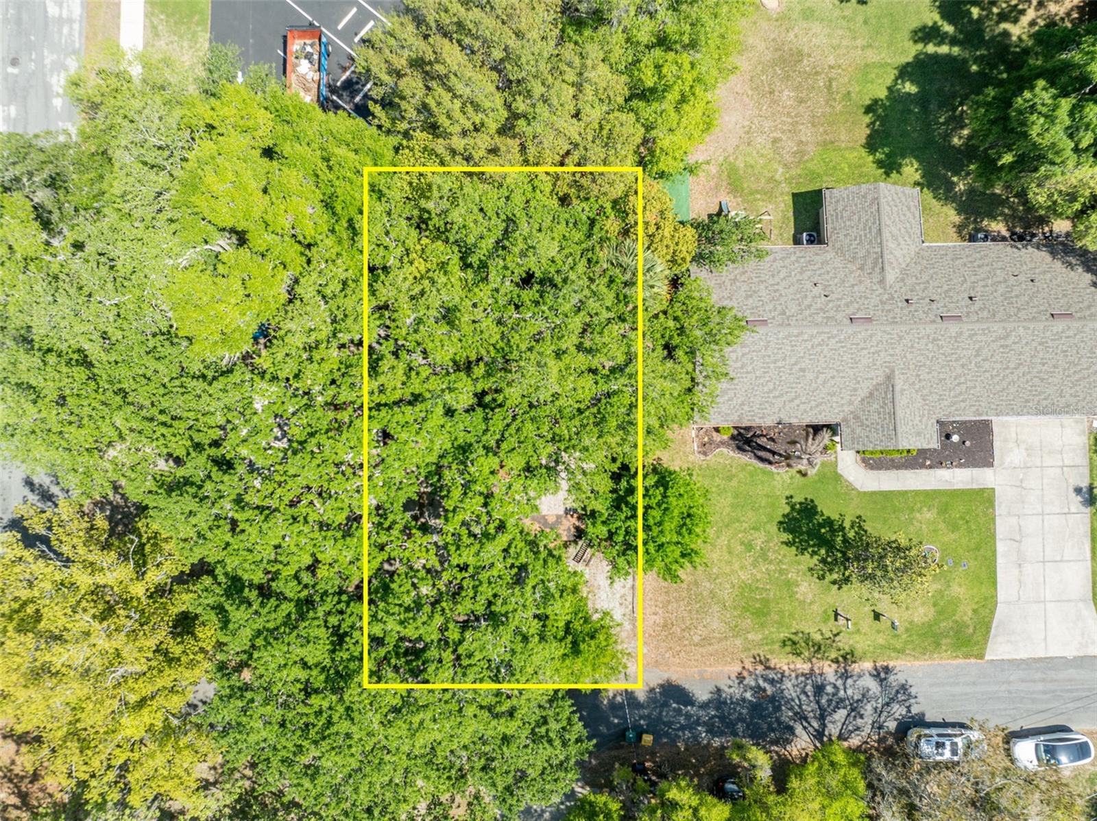 MOUNT DORA ALTA VISTA - Residential