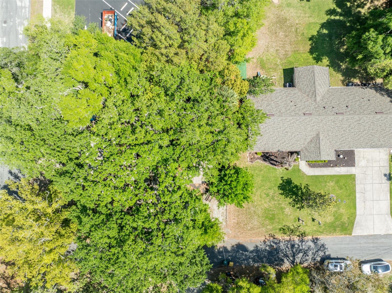 MOUNT DORA ALTA VISTA - Residential