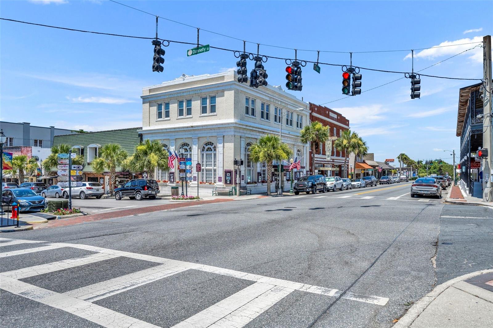 MOUNT DORA ALTA VISTA - Residential