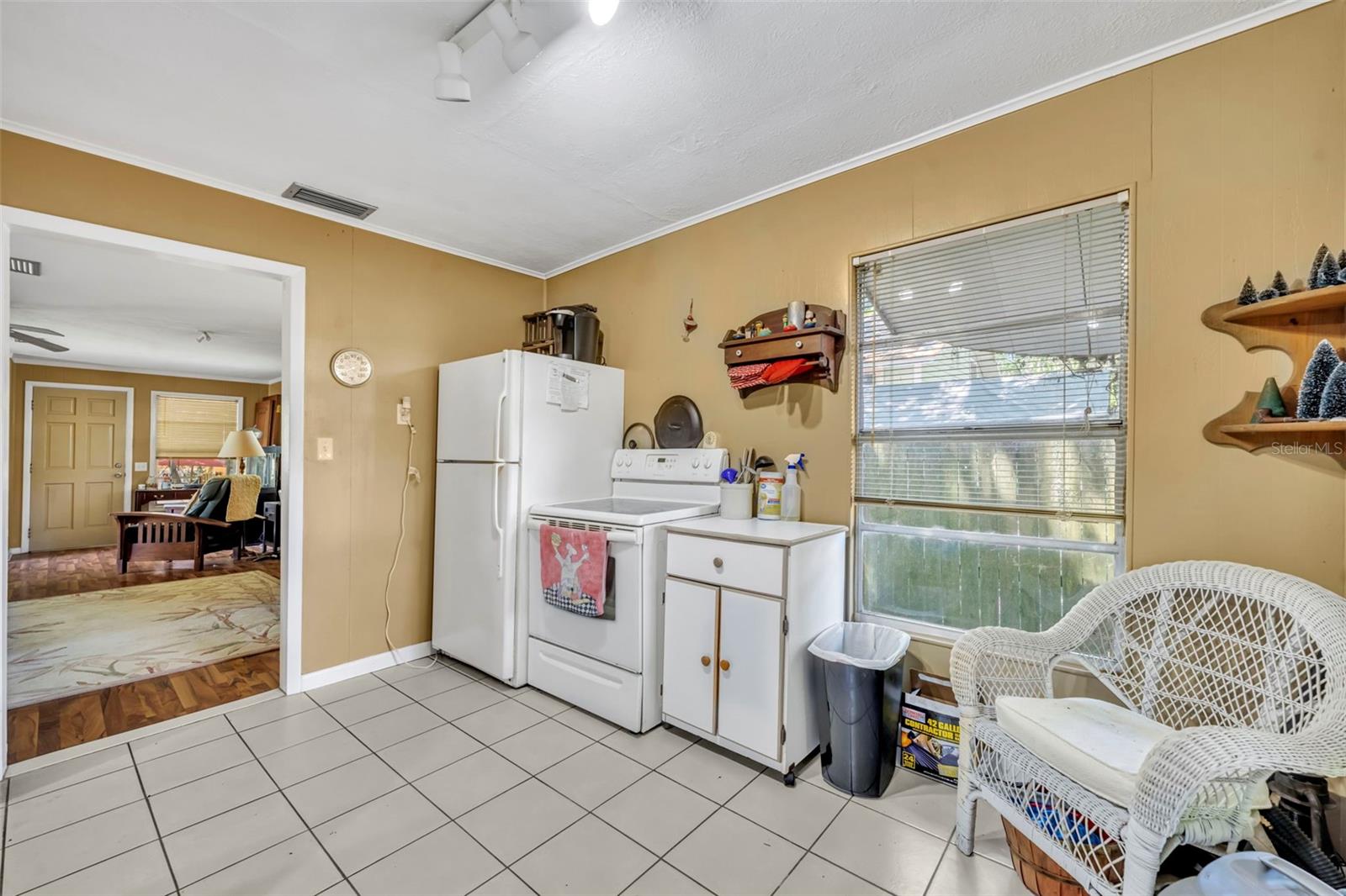 MOUNT DORA ALTA VISTA - Residential