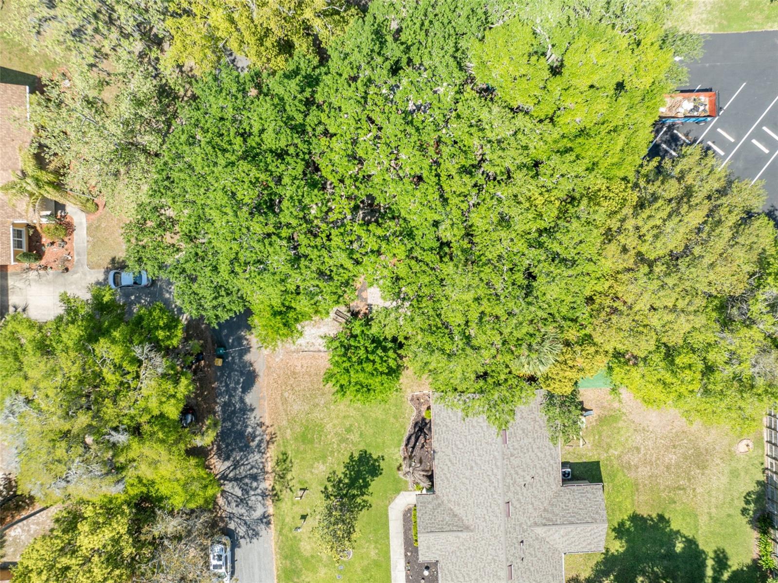 MOUNT DORA ALTA VISTA - Residential