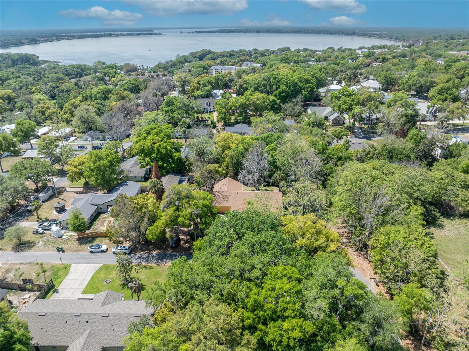MOUNT DORA ALTA VISTA - Residential
