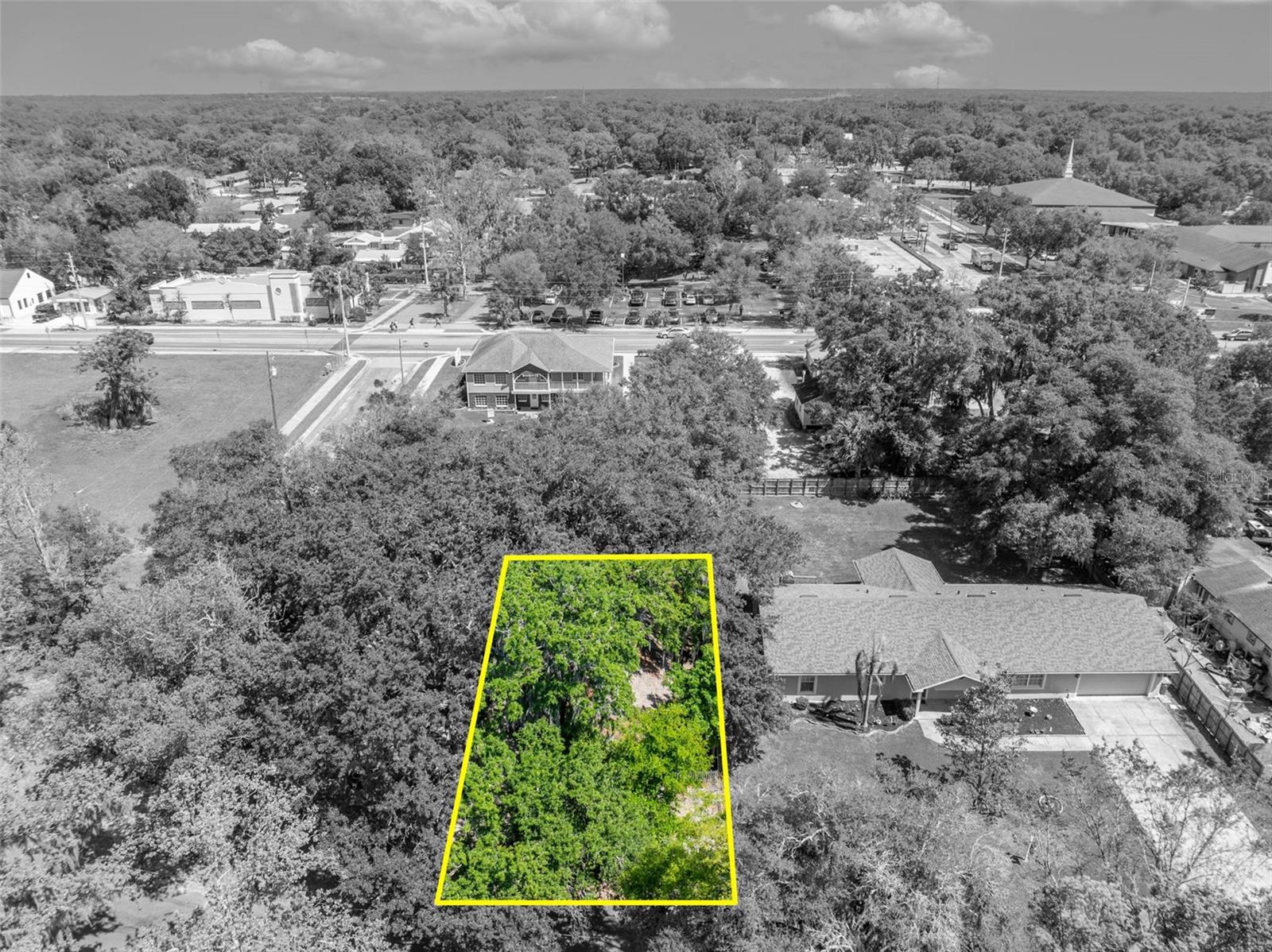 MOUNT DORA ALTA VISTA - Residential