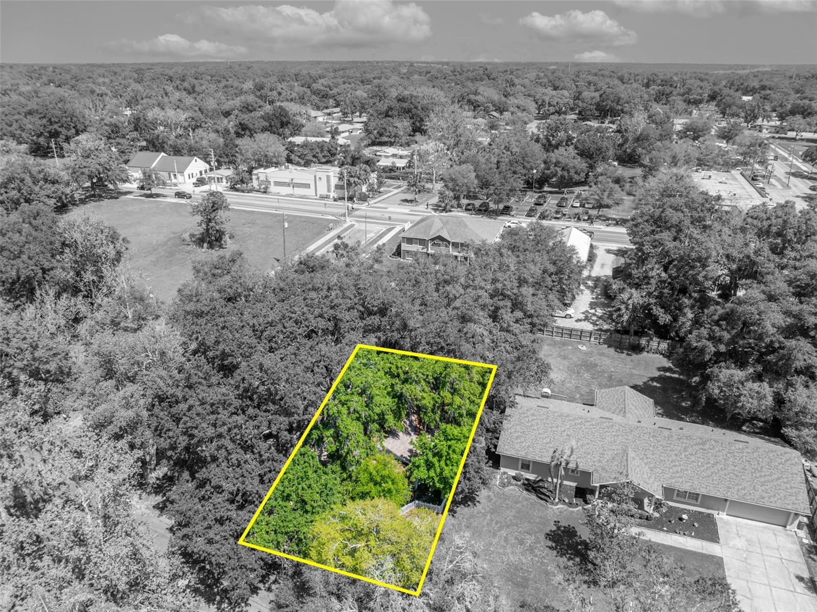 MOUNT DORA ALTA VISTA - Residential