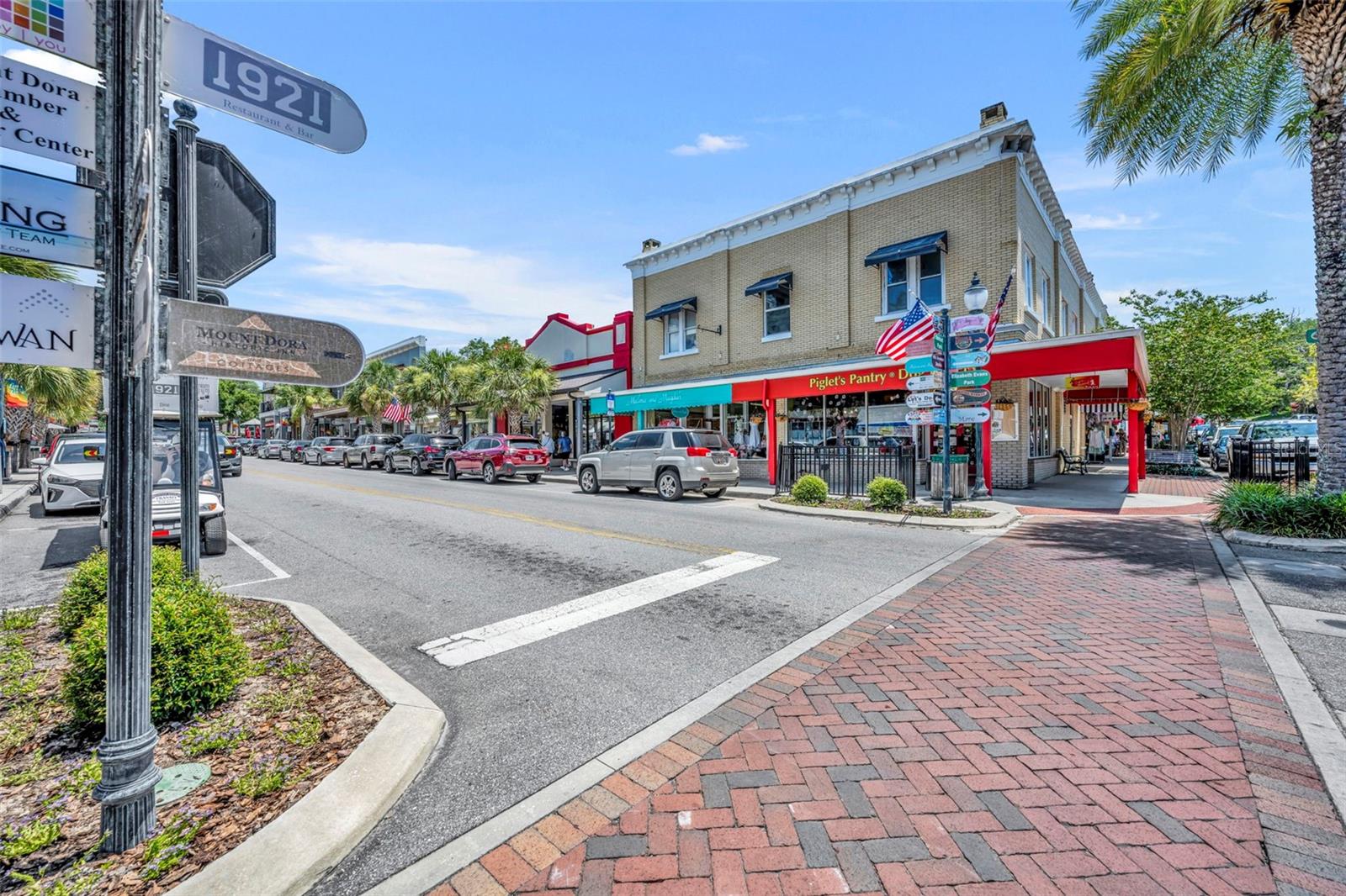 MOUNT DORA ALTA VISTA - Residential