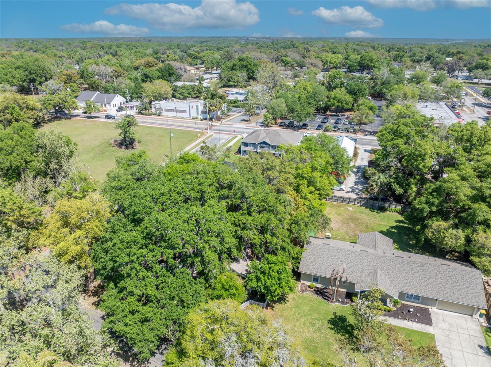 MOUNT DORA ALTA VISTA - Residential