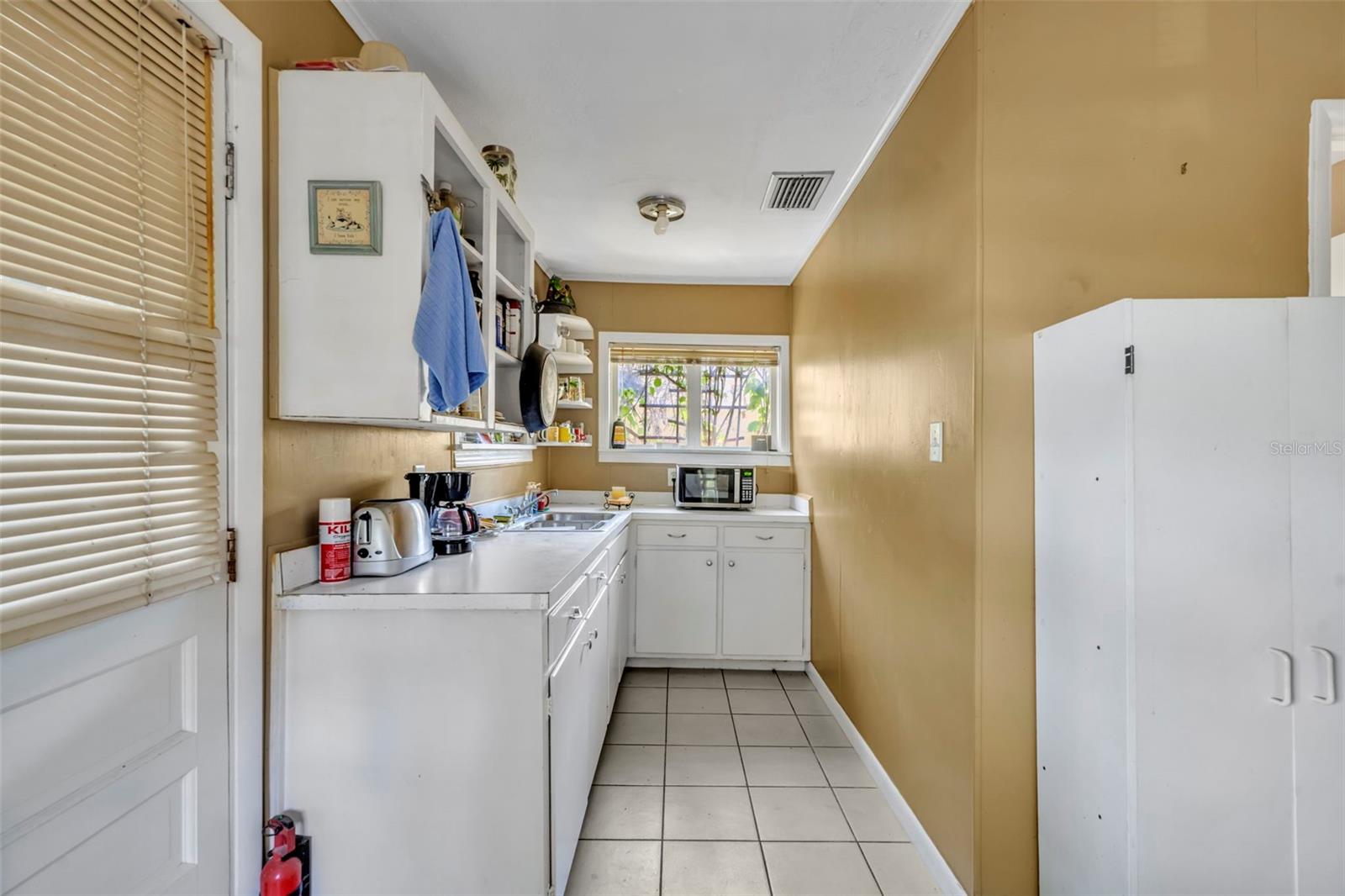 MOUNT DORA ALTA VISTA - Residential