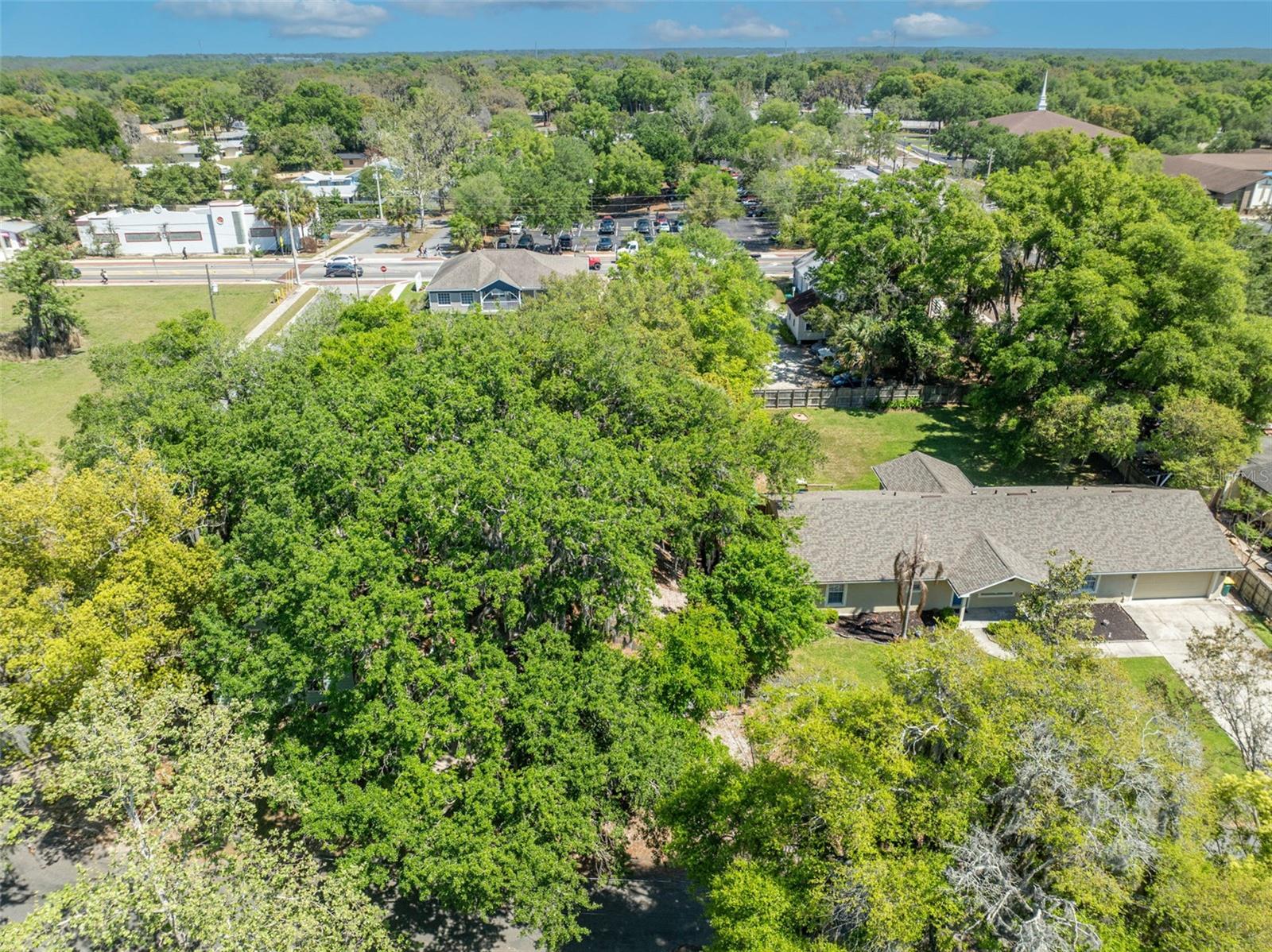 MOUNT DORA ALTA VISTA - Residential